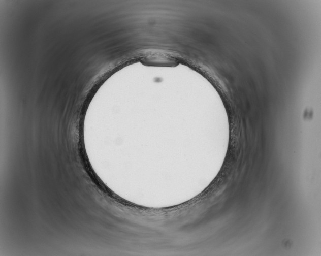 X0000099400015200806051218
