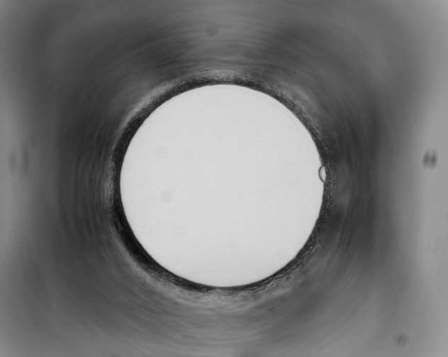 X0000099400016200806051218