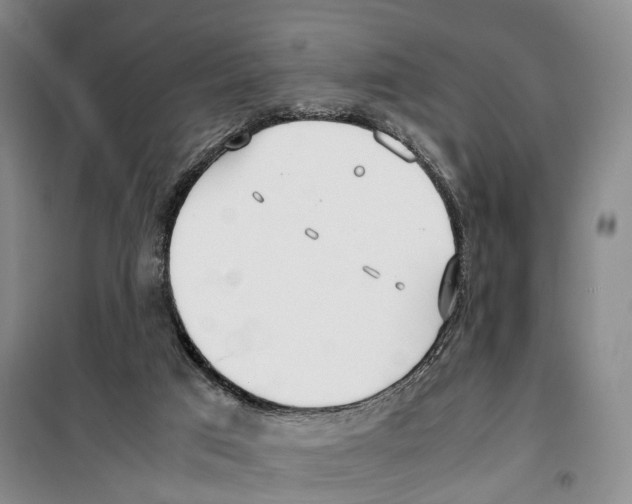 X0000099400017200806051218