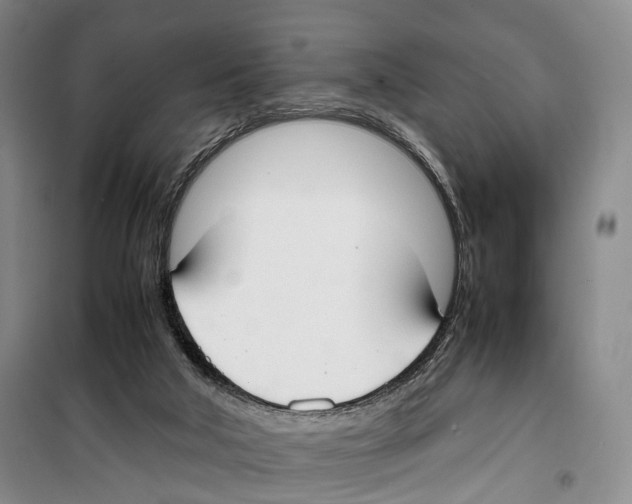 X0000099400018200806051218