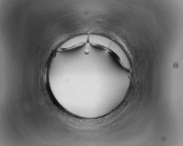 X0000099400019200806051218