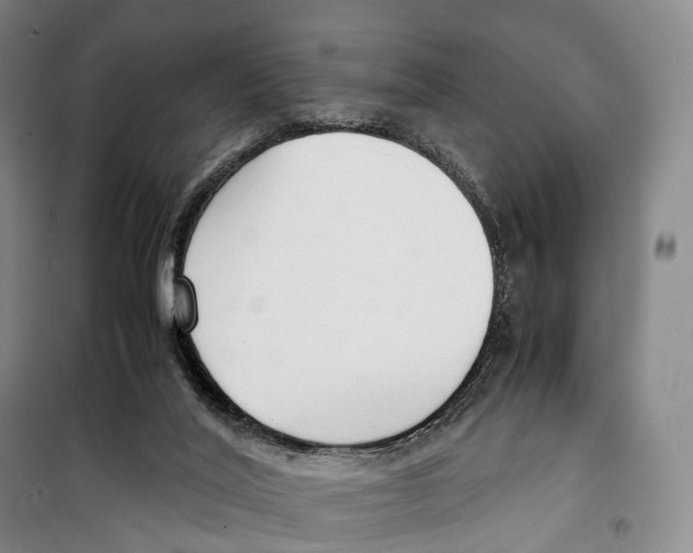 X0000099400020200806051218