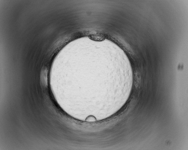 X0000099400022200806051218