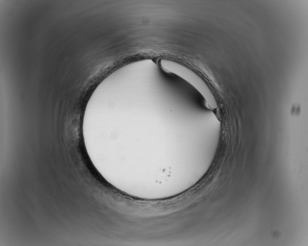 X0000099400023200806051218