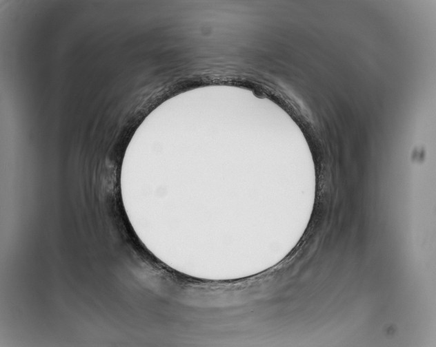 X0000099400025200806051218
