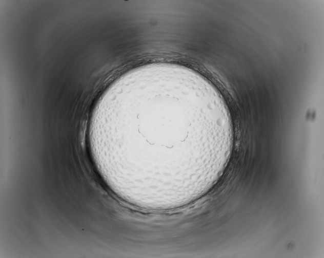 X0000099400026200806051218