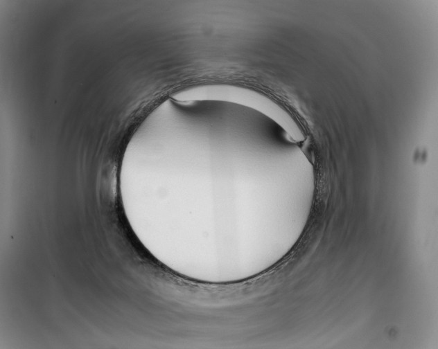X0000099400027200806051218