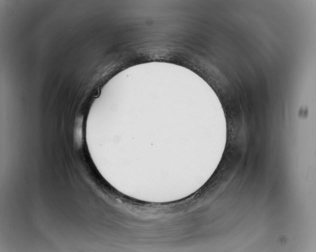 X0000099400028200806051218