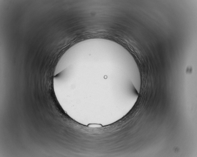 X0000099400030200806051218