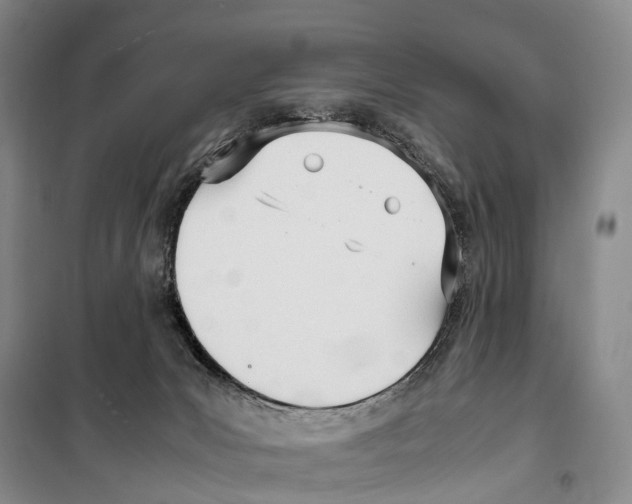 X0000099400031200806051218