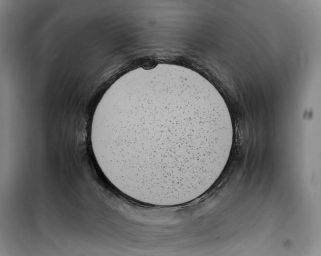 X0000099400032200806051218