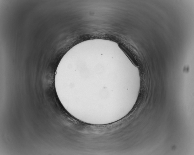 X0000099400033200806051218