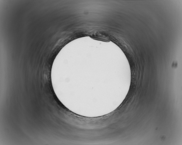 X0000099400035200806051218