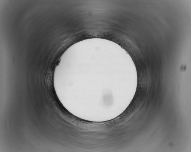 X0000099400036200806051218