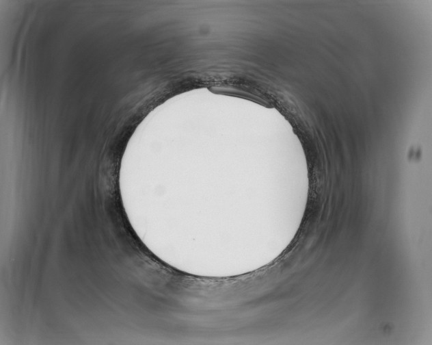 X0000099400037200806051218