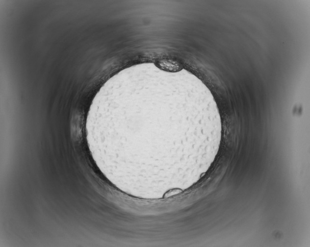 X0000099400038200806051218