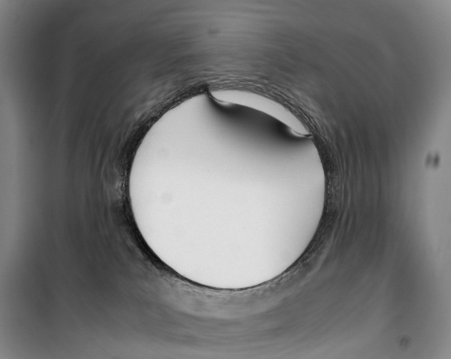 X0000099400039200806051218