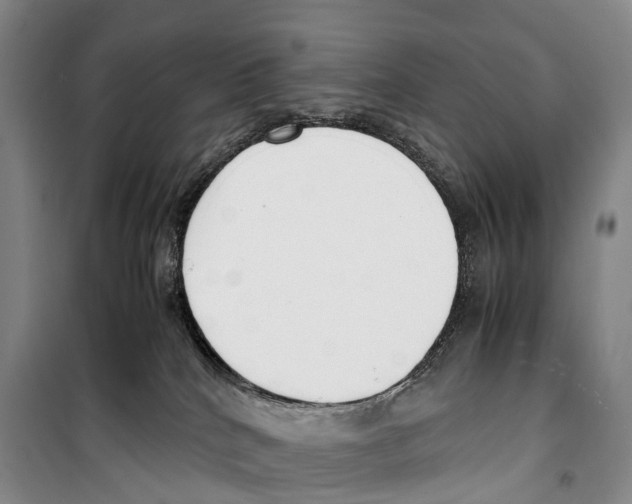 X0000099400040200806051218