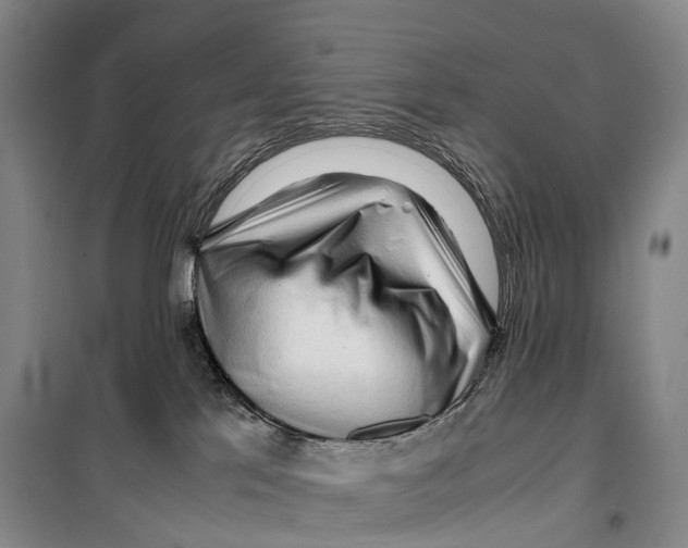 X0000099400041200806051218