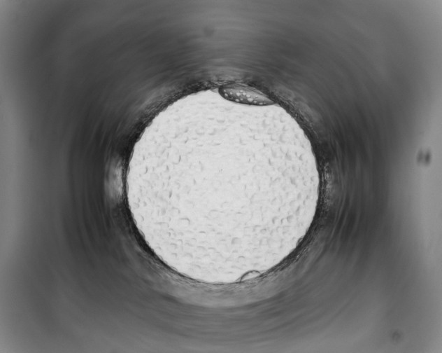 X0000099400042200806051218