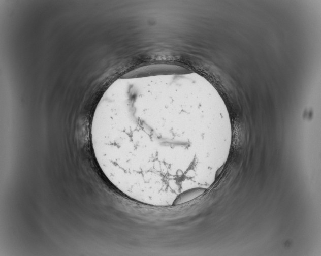 X0000099400043200806051217