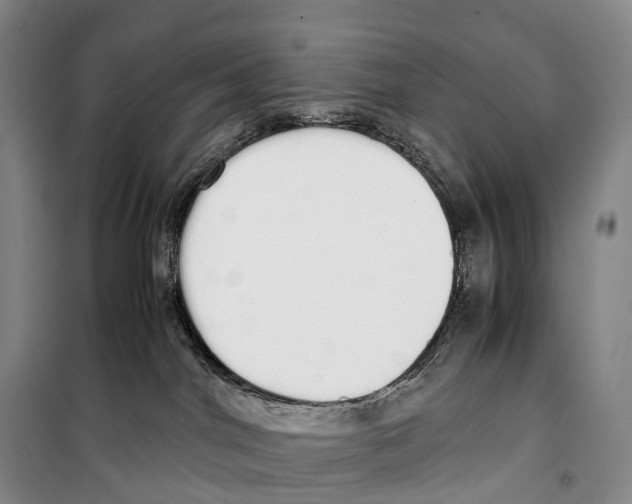 X0000099400044200806051217