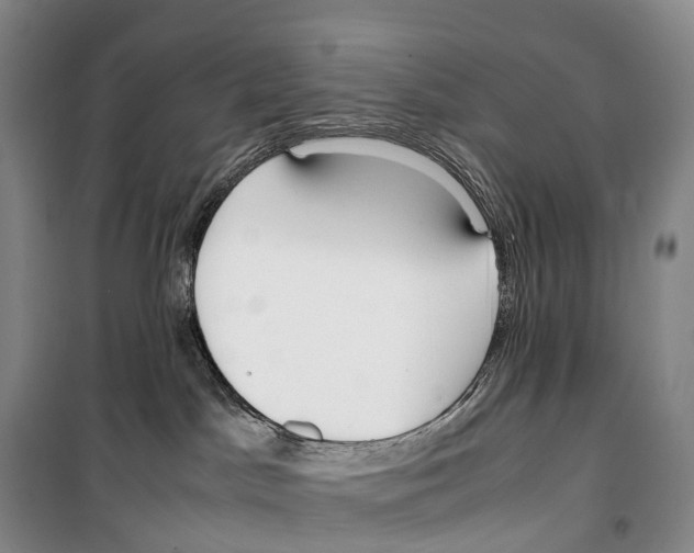 X0000099400045200806051217