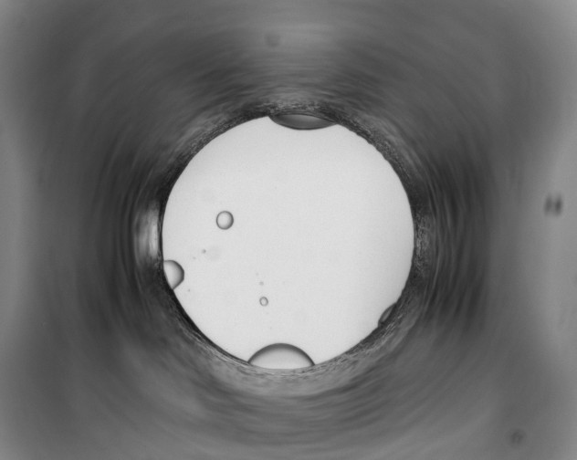 X0000099400046200806051217