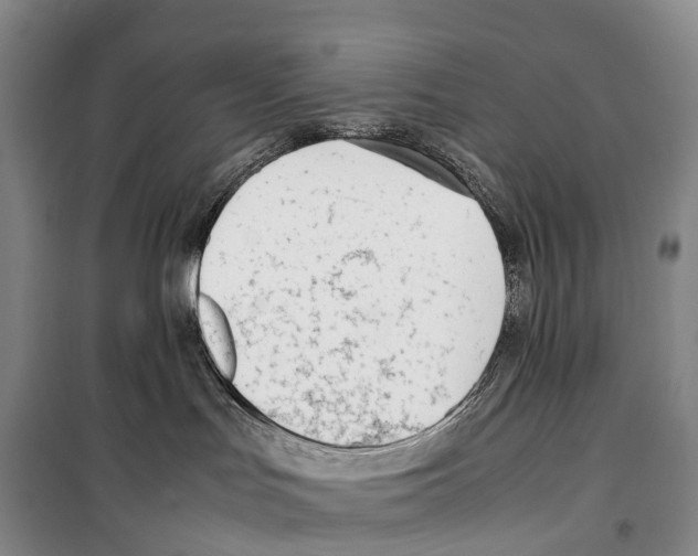 X0000099400047200806051217