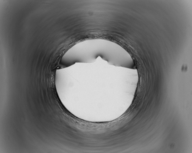 X0000099400048200806051217