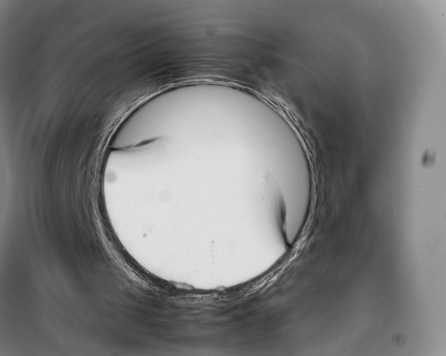X0000099400049200806051217