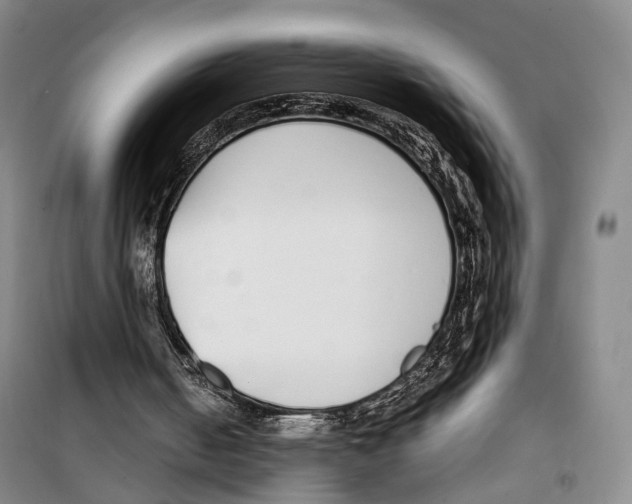 X0000099400050200806051217