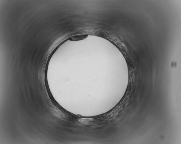 X0000099400051200806051217