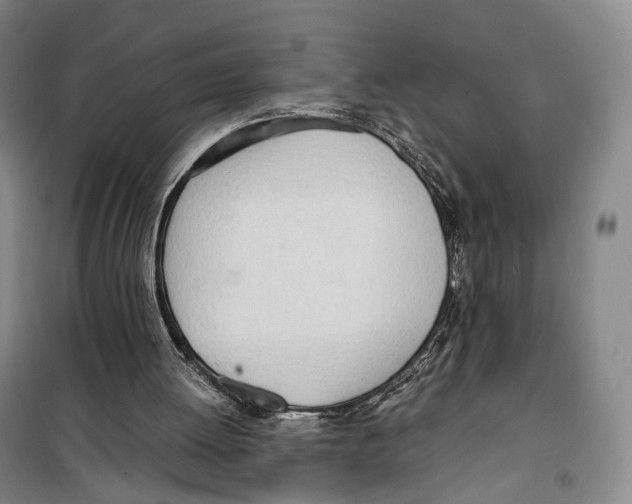 X0000099400052200806051217