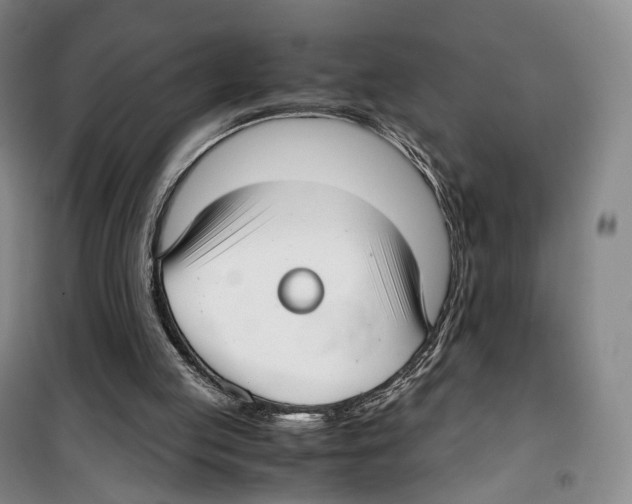 X0000099400053200806051217