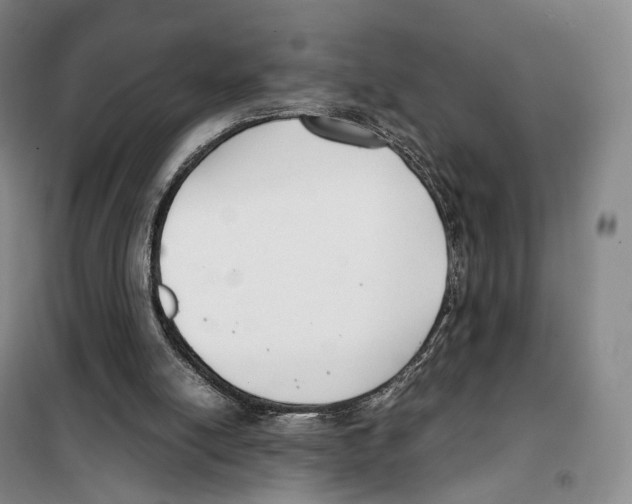 X0000099400054200806051217
