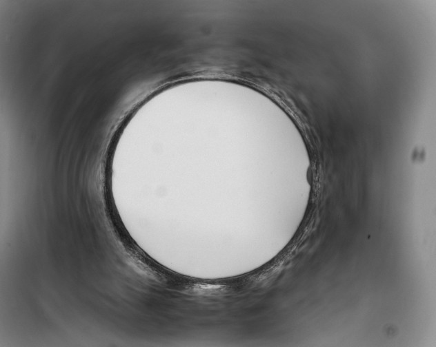 X0000099400055200806051217