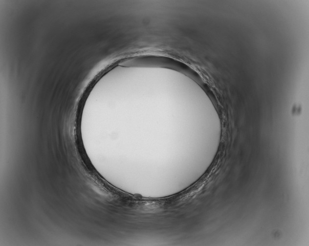 X0000099400056200806051217