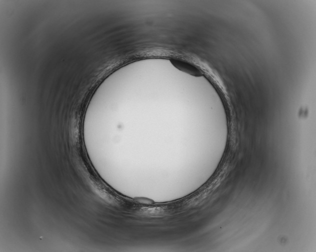 X0000099400057200806051217