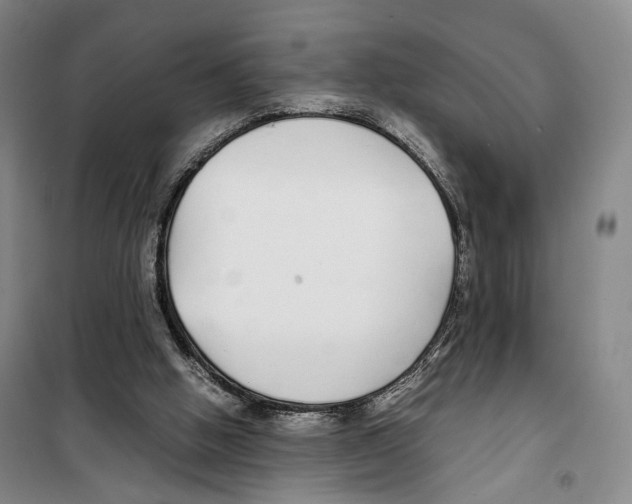 X0000099400058200806051217