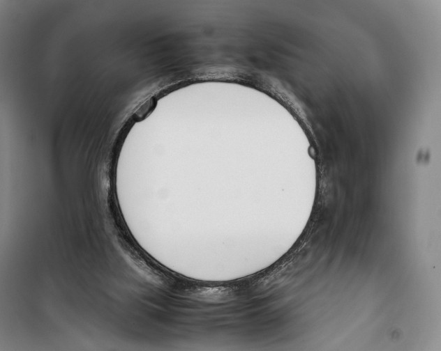 X0000099400059200806051217