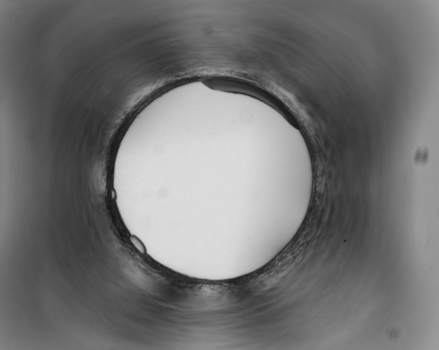 X0000099400060200806051217