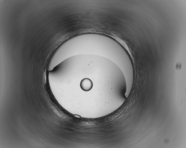 X0000099400061200806051217