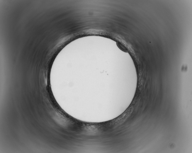 X0000099400062200806051217