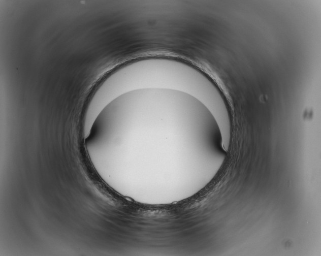 X0000099400063200806051217