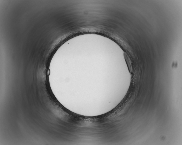 X0000099400064200806051217