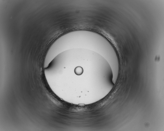 X0000099400065200806051217