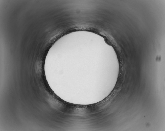 X0000099400066200806051217
