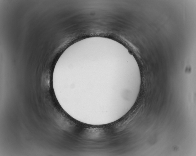 X0000099400067200806051217
