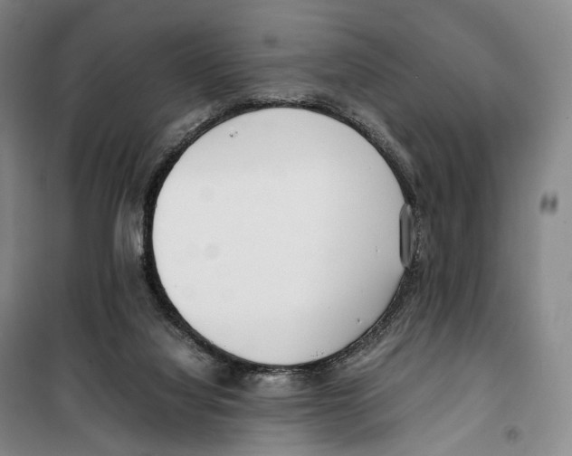 X0000099400068200806051217